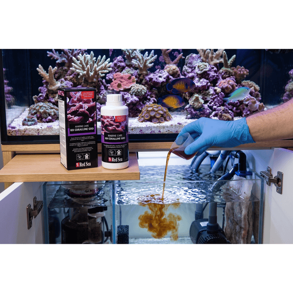 Red Sea Aquatics 500ml Red Sea KH Coralline Gro | Alkalinity & Trace Element Complex