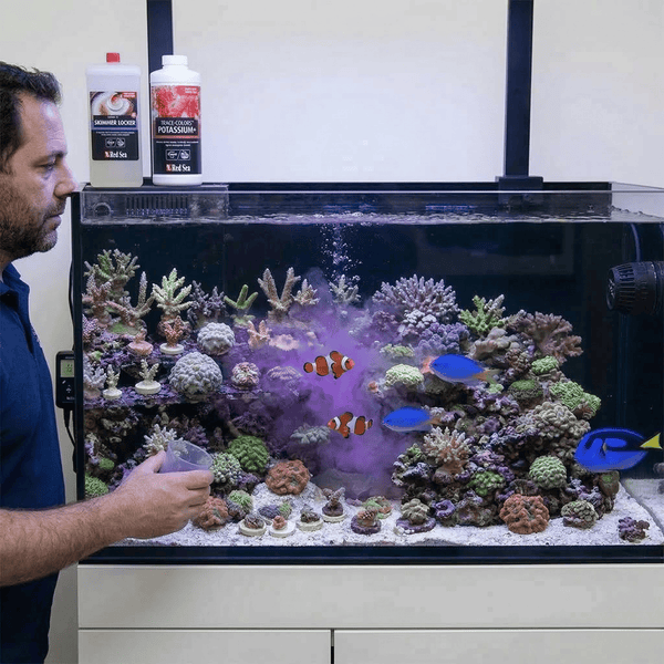 Red Sea Aquatics 500ml Red Sea Trace-Colors B | Potassium & Boron for Red/Pink Corals