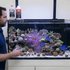 files/red-sea-aquatics-500ml-red-sea-trace-colors-b-potassium-boron-for-red-pink-corals-1227162918.png