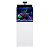 Red Sea Aquatics / Aquarium Tanks MAX NANO G2 XL Aquarium with White Cabinet Red Sea MAX NANO XL G2 | Professional All-In-One Reef System (125L)