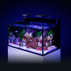 Red Sea Aquatics / Aquarium Tanks Red Sea MAX NANO G2 XXL | High-Capacity 200L All-In-One Reef System