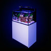 Red Sea Aquatics / Aquarium Tanks Red Sea MAX NANO G2 XXL | High-Capacity 200L All-In-One Reef System