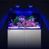 Red Sea Aquatics / Aquarium Tanks Red Sea MAX NANO G2 XXL | High-Capacity 200L All-In-One Reef System
