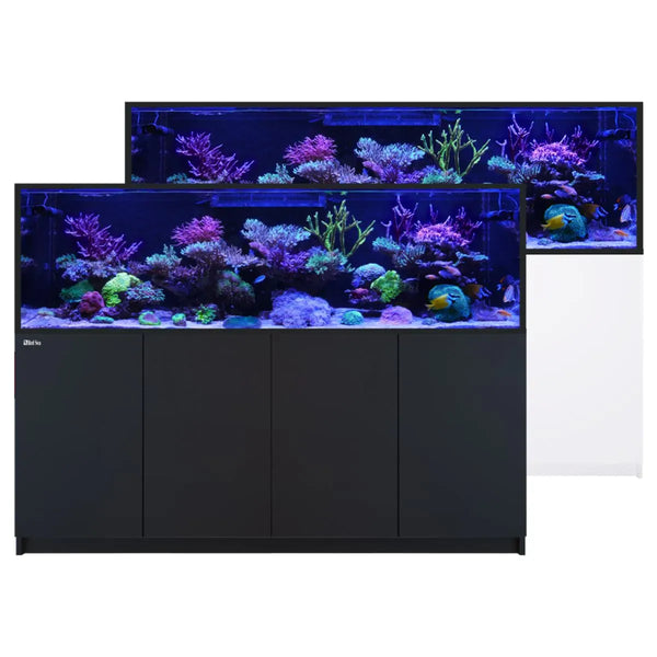 Red Sea Aquatics / Aquarium Tanks Red Sea REEFER S-1000 G3 – Premium Large-Scale Reef Aquarium System