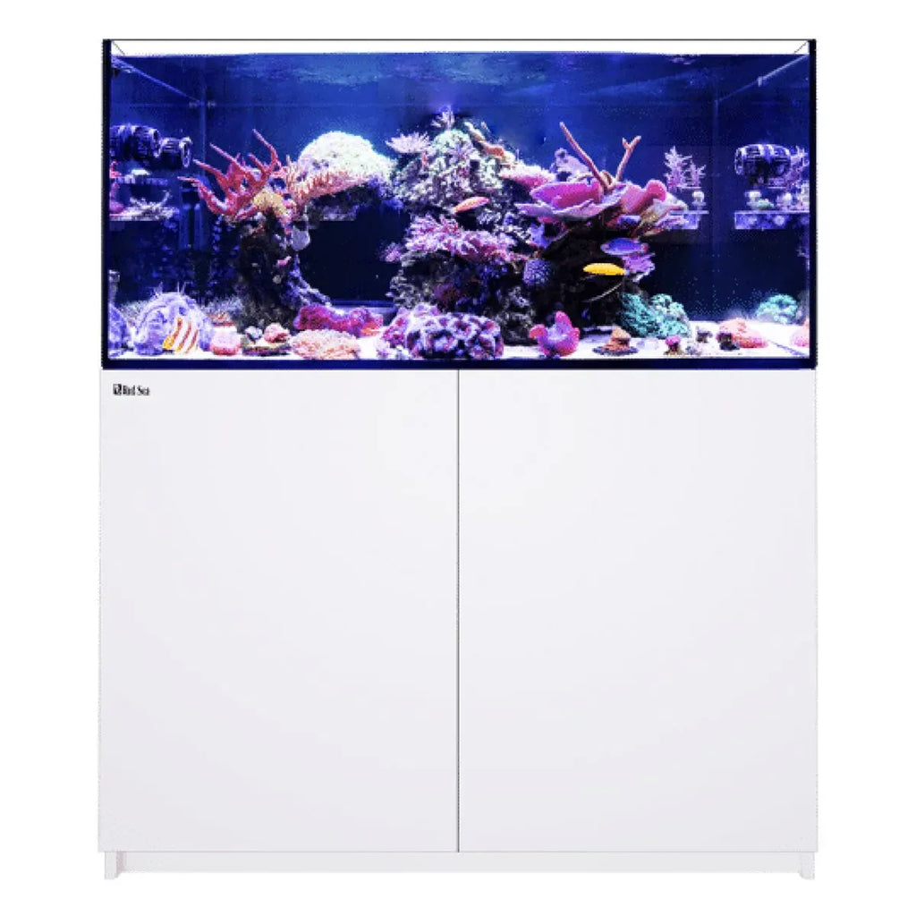 Red Sea REEFER 350 G3 Dubai | Free UAE Delivery & Setup – PetStore.ae