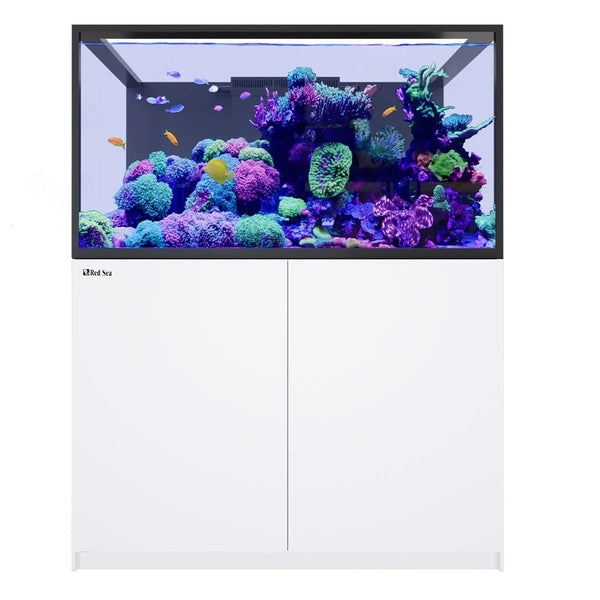 Red Sea Aquatics / Aquarium Tanks White Red Sea REEFER S-550 G3 – Premium All-in-One Reef Aquarium System
