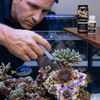 Red Sea Aquatics Red Sea Aiptasia-X Treatment Kit | Reef-Safe Pest Control
