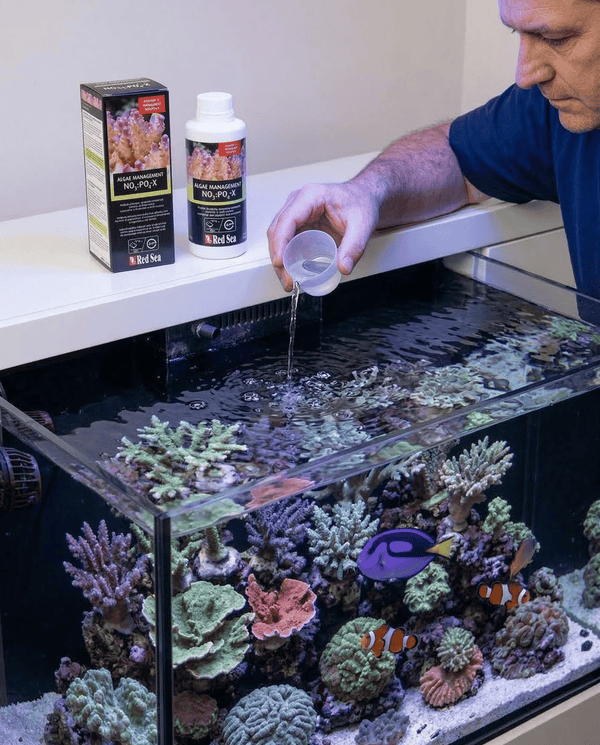 Red Sea Aquatics Red Sea NO3:PO4-X | Biological Nitrate & Phosphate Reducer