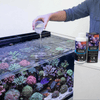Red Sea Aquatics Red Sea Reef Foundation A | Calcium & Strontium Supplement