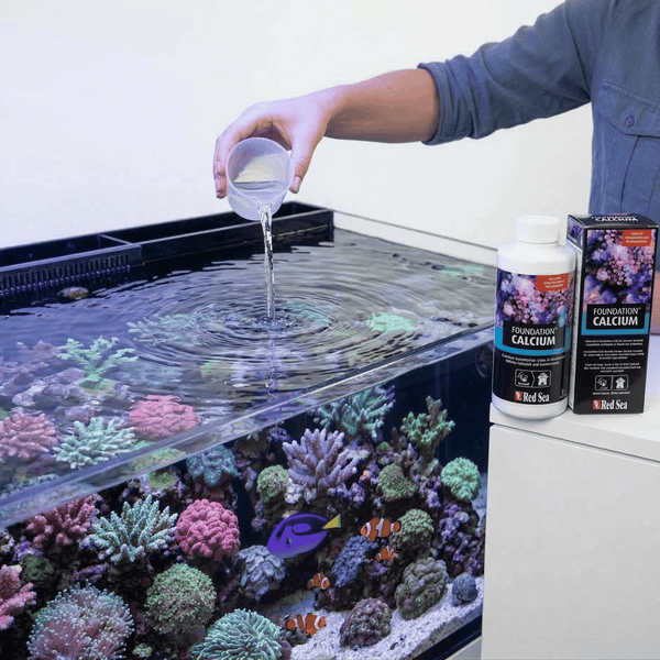 Red Sea Aquatics Red Sea Reef Foundation A | Calcium & Strontium Supplement