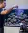 files/red-sea-aquatics-red-sea-trace-colors-d-bioactive-elements-for-blue-purple-corals-1227142944.png