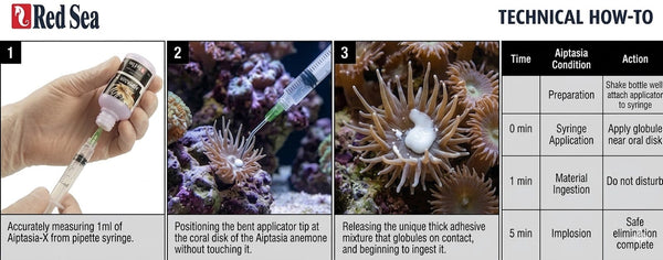 Red Sea Aquatics RedSea - Aiptasia-X Treatment Kit