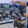 Red Sea Aquatics RedSea - Reef Foundation B - KH/Alkalinity Supplement