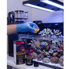 Red Sea Food Red Sea Reef Energy Plus AB+ | All-In-One Coral Superfood