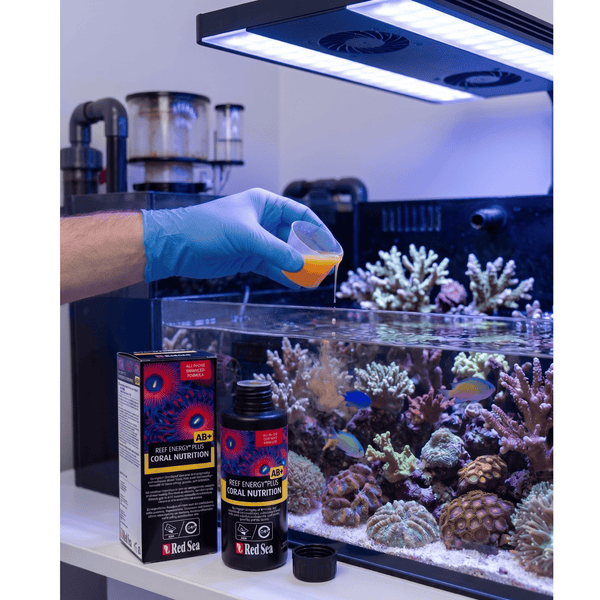 Red Sea Food Red Sea Reef Energy Plus AB+ | All-In-One Coral Superfood