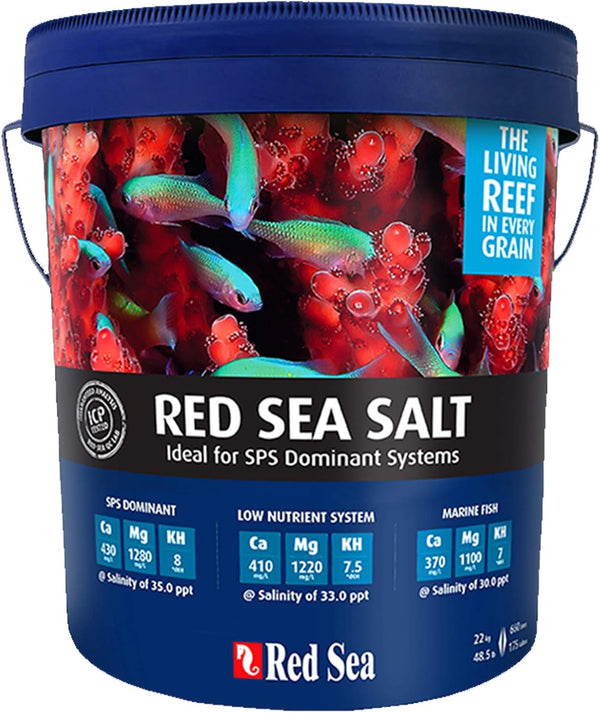 Red Sea Salt 22kg Red Sea Salt UAE | Blue Bucket Premium Reef Mix | Petstore.ae