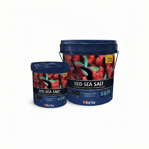 Red Sea Salt Red Sea Salt UAE | Blue Bucket Premium Reef Mix | Petstore.ae