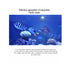 files/red-starfish-aquarium-protein-skimmers-red-starfish-rs-c-plus-protein-skimmer-series-advanced-filtration-for-saltwater-aquariums-1184880791.jpg