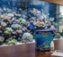 files/salifert-aquatics-salifert-flatworm-exit-reef-safe-flatworm-treatment-1226452293.png