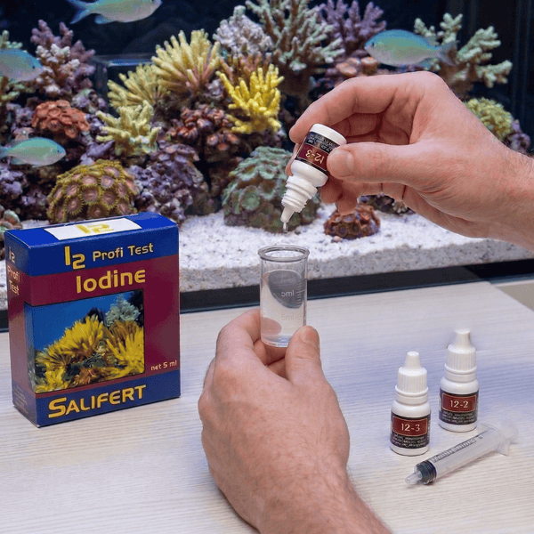 Salifert Aquatics Salifert Iodine Profi Test Kit | Total Iodine Species Detection (40 Tests)