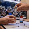 Salifert Aquatics Salifert KH/Alkalinity Profi Test Kit | 0.1 meq/L Precision Testing