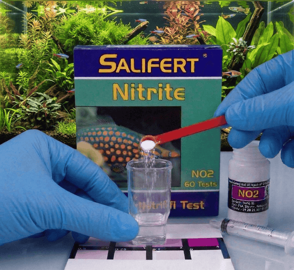 Salifert Aquatics Salifert Nitrite Profi Test Kit | 60 Tests for Marine & Fresh