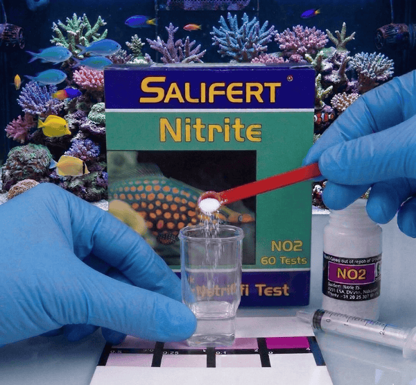 Salifert Aquatics Salifert Nitrite Profi Test Kit | 60 Tests for Marine & Fresh