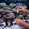 Salifert Aquatics Salifert Potassium Reef Test Kit | Accurate K-Level Monitoring