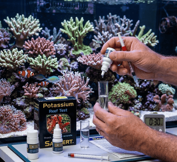 Salifert Aquatics Salifert Potassium Reef Test Kit | Accurate K-Level Monitoring