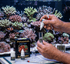 files/salifert-aquatics-salifert-potassium-reef-test-kit-accurate-k-level-monitoring-1226929056.png