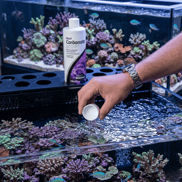 Seachem Additives & Supplements 250ml Seachem Reef Carbonate | Concentrated Liquid Alkalinity (4,000 meq/L)