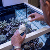Seachem Additives & Supplements Seachem Reef Complete | 160,000 mg/L Concentrated Calcium