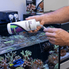 Seachem Additives & Supplements Seachem Reef Nitrogen™ | Concentrated 15,000 mg/L Nitrate Supplement