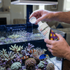 Seachem Additives & Supplements Seachem Reef Phosphorus™ | Concentrated Phosphate Supplement