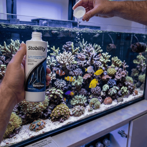 Seachem Additives & Supplements Seachem Stability | New Tank Biofilter & Bacteria Supplement
