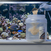 Seachem Aquatics 250g Seachem Safe™ | Concentrated Dry Water Conditioner