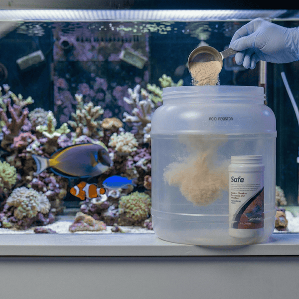 Seachem Aquatics 250g Seachem Safe™ | Concentrated Dry Water Conditioner