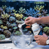 files/seachem-aquatics-500g-seachem-reef-kalkwasser-500g-high-purity-calcium-ph-support-1232038479.png