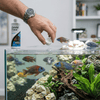 Seachem Aquatics Seachem Cichlid Trace | Essential Micro-Minerals for All Cichlids