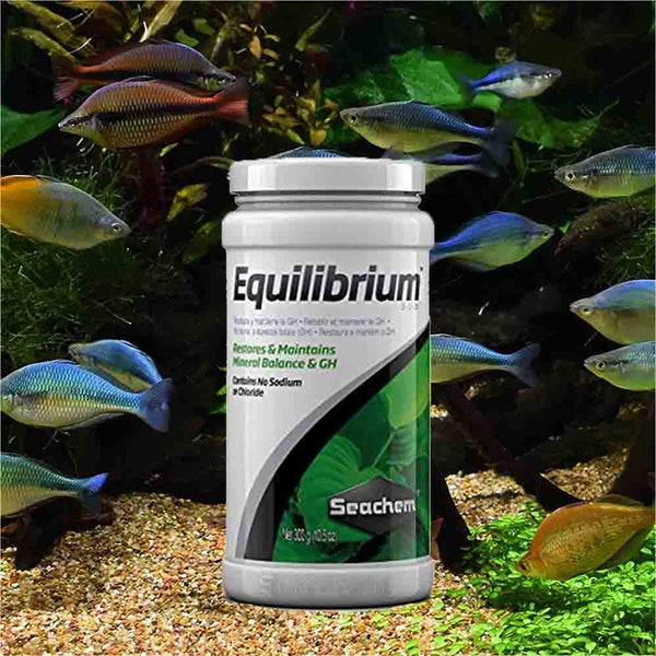 Seachem Aquatics Seachem Equilibrium | Planted Tank GH & Mineral Replenisher