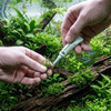 Seachem Aquatics Seachem Flourish Glue | 2x4g Plant & Moss Cyanoacrylate Gel