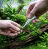files/seachem-aquatics-seachem-flourish-glue-2x4g-plant-moss-cyanoacrylate-gel-1231097328.png