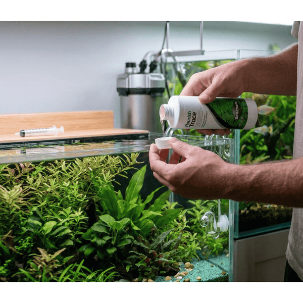 Seachem Aquatics Seachem Flourish Trace | Essential Micro-Nutrients for Plants