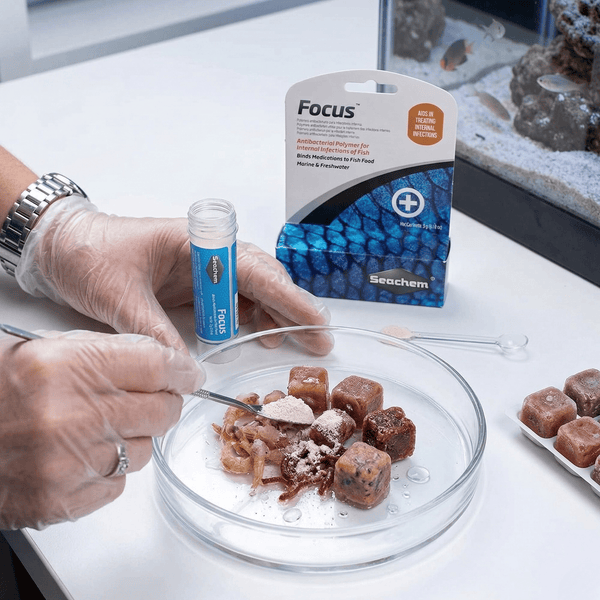 Seachem Aquatics Seachem Focus™ | Antibacterial Polymer & Medication Binder