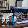 Seachem Aquatics Seachem Head Start Combo Pack | Prime, Stability & Clarity