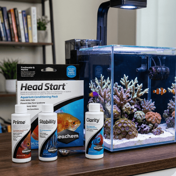 Seachem Aquatics Seachem Head Start Combo Pack | Prime, Stability & Clarity