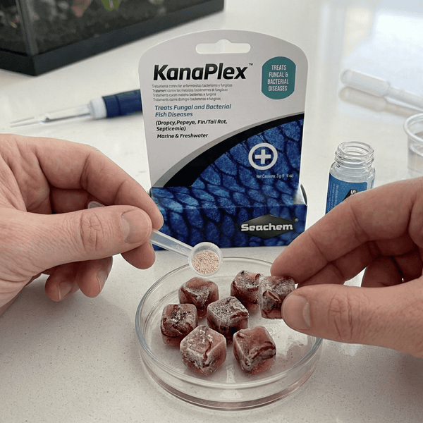 Seachem Aquatics Seachem KanaPlex™ | Antibiotic Treatment for Dropsy & Popeye