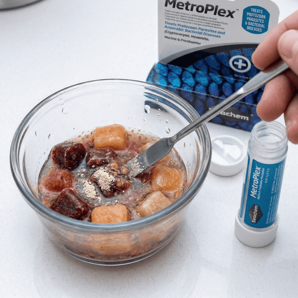 Seachem Aquatics Seachem MetroPlex™ | Parasite & Bacterial Treatment for Fish