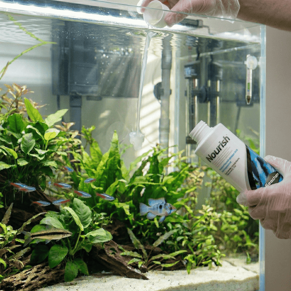Seachem Aquatics Seachem Nourish™ | Freshwater Vitamin & Amino Acid Supplement