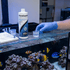 files/seachem-aquatics-seachem-paraguard-safe-broad-spectrum-parasite-control-1229137657.png